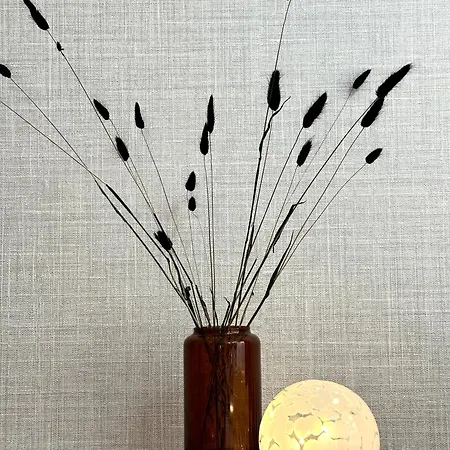 Dubois - Self Check-in 20h *